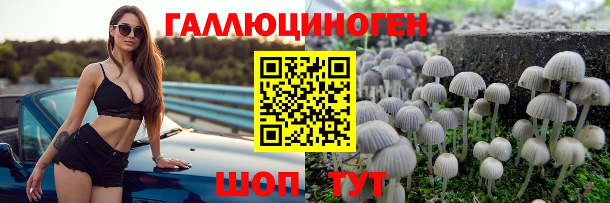 Псилоцибиновые грибы GOLDEN TEACHER  Галлюциногенные грибы прущие грибы  Вход с VPN  Кандалакша 